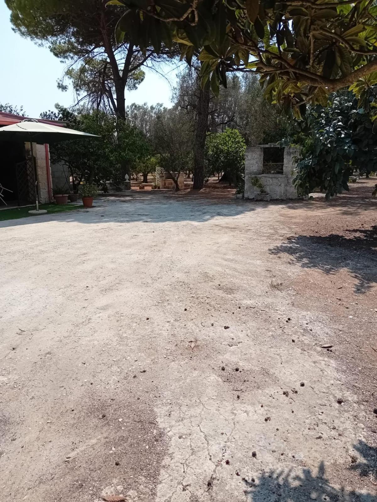 Villa Natura Oria  Dış mekan fotoğraf